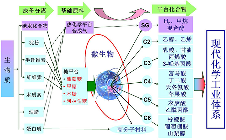 zw9-2.jpg