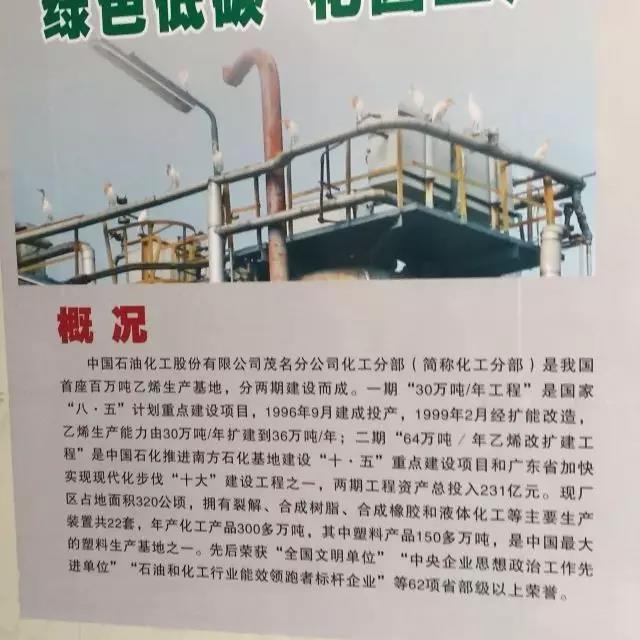 2-2.jpg
