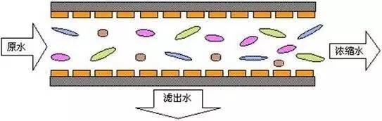 903876677531211788.jpg